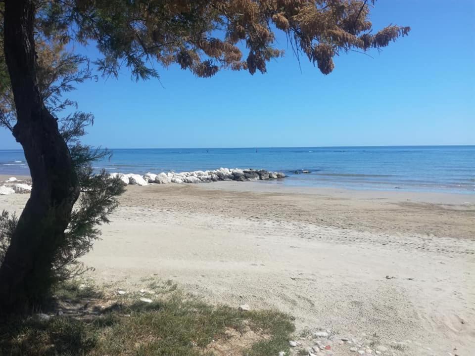 Residence Il Triangolo Roseto Degli Abruzzi Esterno foto